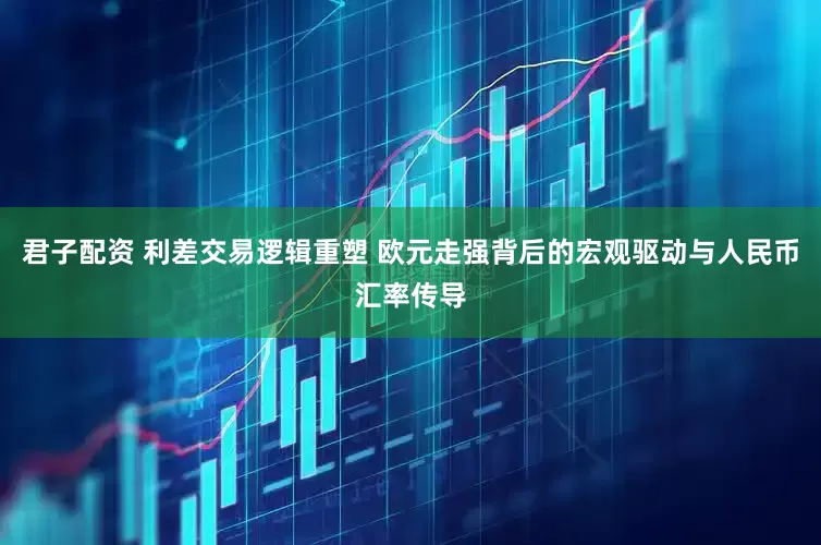 君子配资 利差交易逻辑重塑 欧元走强背后的宏观驱动与人民币汇率传导